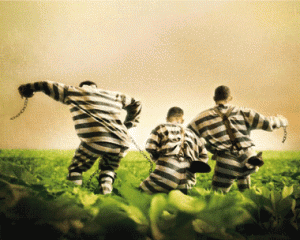 prisoners-escape