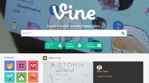 vine-storytelling